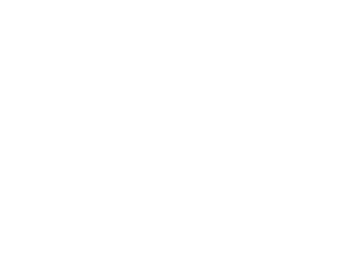 Alpes Technologies