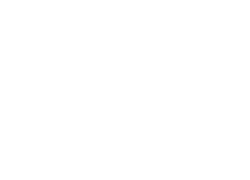 The Logistics Brand